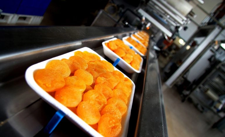 Dried apricots in production line