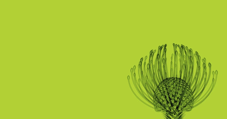 Mekitec X-ray inspection system with flower visualization