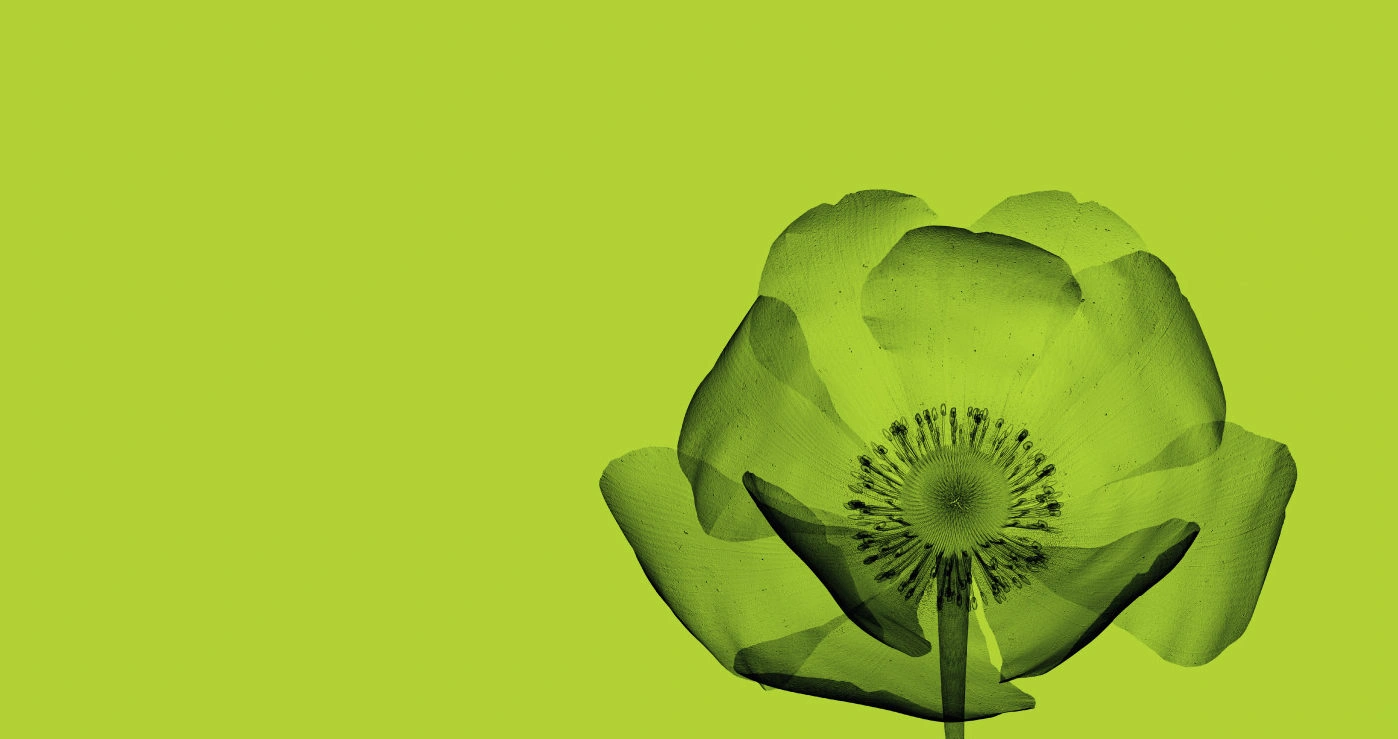 Mekitec X-ray food inspection system